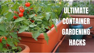 The Ultimate Container Gardening Hacks  Episode 5 [upl. by Ahsinelg]