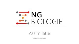 Assimilatie  chemosynthese  HAVOVWO [upl. by Emmalee262]