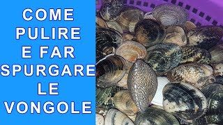 COME SPURGARE LE VONGOLE PULIRLE BENE APRIRE E TOGLIERE LA SABBIA  FoodVlogger [upl. by Jessi996]