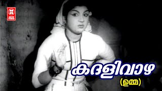 Kadhalivazha Kayyilirunnu  Umma  P Bhaskaran  MS Baburaj  Jikki  Evergreen Old Hits [upl. by Ahsiyt495]