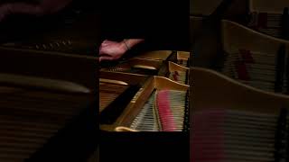 String Broke During Liszt Mazeppa live [upl. by Yelknirb]