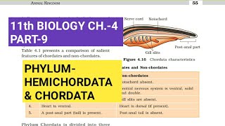 Class 11 BiologyCh4 Part9PhylumHemichordata amp ChordataStudy with Farru [upl. by Alegna]