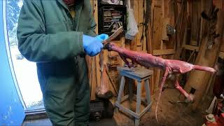 Mushers Tails How I skin a Marten [upl. by Mandal]