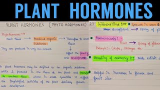 plant growth hormones and their functions  plant growth regulators  plant hormones [upl. by Eiramyllek]