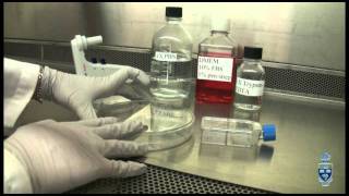 Cell Culture 101 1 [upl. by Antsirhc]