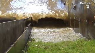 Tests of grass dikes in wave flume [upl. by Audras633]