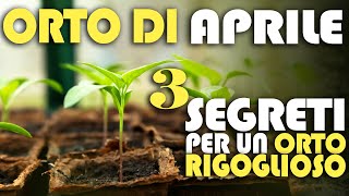 ORTO di APRILE  3 SEGRETI per un ORTO RIGOGLIOSO [upl. by Attennod]