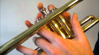 Learn to play G Major Scale on Trumpet [upl. by Haydon504]