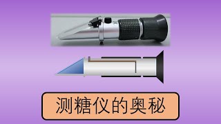 测糖的法宝  糖度计 Refractometer [upl. by Vergos152]