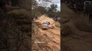 MADNESS Rally  Trans Chaco Rally 2024 [upl. by Anirdnaxela925]