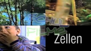 Schulfilme im Netz DVD  Biologie Zellen [upl. by Sirron797]