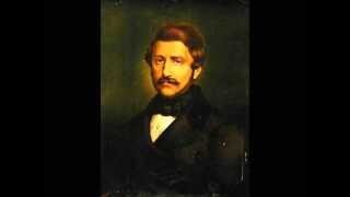 John Relyea  Bello ardir  Marino Faliero  Gaetano Donizetti [upl. by Naehs]