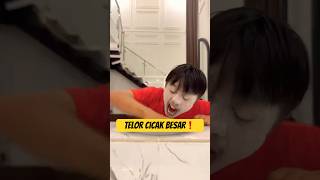 Bego Makan Telor Cicak [upl. by Raveaux]