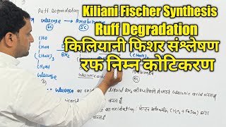 BSc 2nd sem  Kiliani Fischer Synthesis  Ruff Degradation  Arabinose to Glucose  BSc 3rd year [upl. by Yancey]