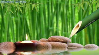 Bamboo Water Fountain  The Best Relaxing Piano Music With Healing Sounds [upl. by Eddra772]