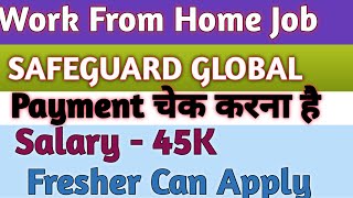 Work From Home Job  Online Job  Latest Job  MNC Job 2024 [upl. by Halyak]