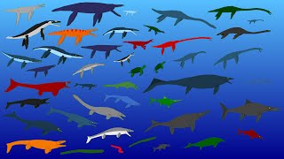 44 Largest Extinct Reptiles  Size Comparison  Plesiosaurs Pliosaurs Ichtyosaurs Mosasaurs [upl. by Courtnay]