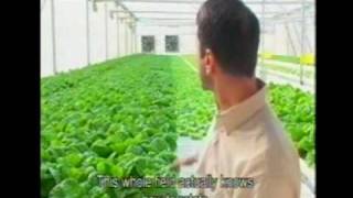 Lior Hessels Hydroponics Greenhouse [upl. by Neeoma]