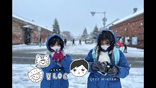 Hokkaido Vlog 3  Travel with kids in Hakodate Snow Fun in Goryokaku special Shinkansen to Tokyo [upl. by Chancelor425]