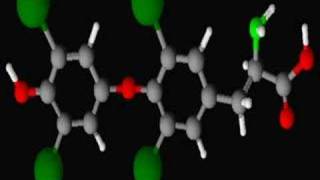 Thyroxine [upl. by Enidualc804]