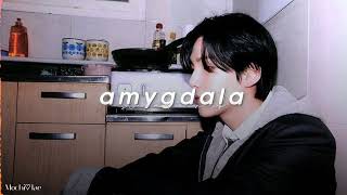 agust d  amygdala slowed  reverb [upl. by Rai]