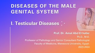 Testicular DiseasesMale Genital System pptx [upl. by Eceinej]