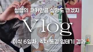 vlog  김칫국 브이로그 4차 동결이식 결과 감자배아 이식 6일차 임테기 결과 기대와 설렘 가득했던 순간 난임브이로그 난임일기시험관브이로그 [upl. by Colier728]