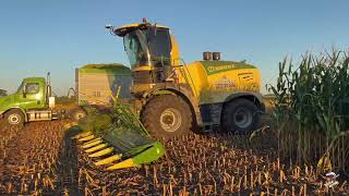 Orrson Custom Farming Corn Silage Harvest in North West Ohio [upl. by Behn]