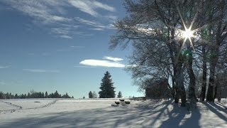 Winterzauber zwischen Hornberg und dem Kalten Feld [upl. by Wolbrom972]