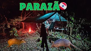 🏕️ ACAMPAMENTO EM UMA ILHA UMA CUTIA E UM TATÚ APARECERAM POR LÁ [upl. by Kushner886]