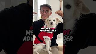 XXL Adventskalender für meinen Hund❤️🫶 hund vlog comedy tiere [upl. by Rovert]