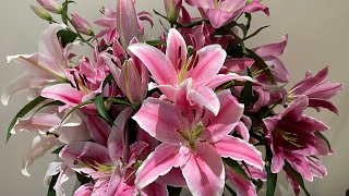 Top 10 Lilies  10 Beautiful Oriental Lily Cut Flower Varieties [upl. by Ignacia]