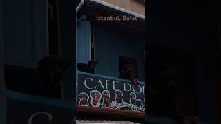 Balat Stadtteil von Istanbul travel istanbul [upl. by Begga733]