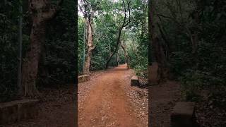 MATHERAN GHAT matheranhills matheranpoints vlog travel Nature hillstation [upl. by Imas194]