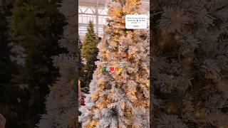 New In Dobbies Garden Centre Christmas 2024 shorts christmasdecor christmastrees festivevibes [upl. by Ydnih379]