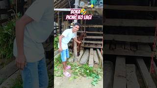 Boka khane ho🤣😋mini vlog shorts minivlog vlog [upl. by Theodoric]