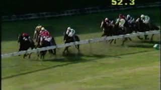 1991 Manikato Stakes [upl. by Ellivro]