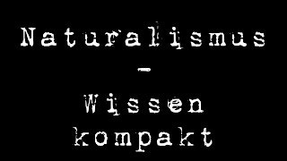 Die Epoche des Naturalismus  Literaturgeschichte 04 [upl. by Akima]