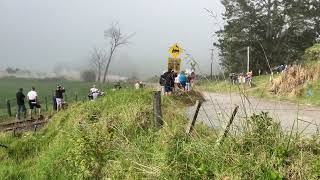 Rally Towai 1 — Hayden Paddon [upl. by Telocin171]