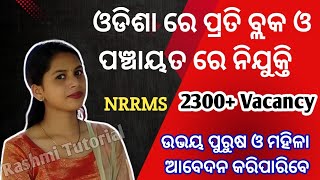 Nrrms Vacancy 2024  Odisha Nrrms Vacancy  Rashmi Tutorial [upl. by Neruat]