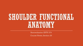 Shoulder Functional Anatomy  Biomechanics [upl. by Nnyliram251]