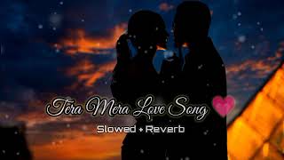 Tera Mera Love Song  Lofi Remix Song  SlowedReverb 💗🥀 [upl. by Enitsirt]