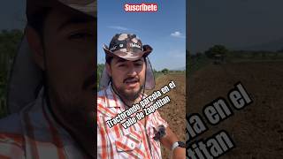 Preparando tierra en el valle de Zapotitan El Salvador con tractor 🚜 sonalica 75hp [upl. by Dore]