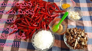 Pandu Mirapakaya pachadi పండు మిరపకాయ పచ్చడి by Bhamas kitchen [upl. by Mcclary271]