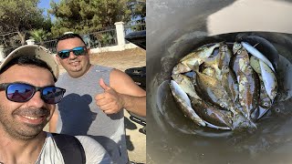 04082021 KIBRIS SOKAN SOKAR AVI SIGANUS RIVULATUS κουρκούνες FISHING IN CYPRUS [upl. by Ozan]