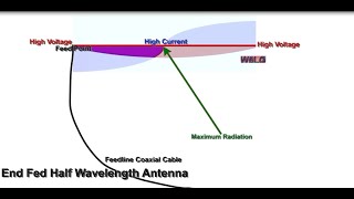 End Fed Dipole Off Center Fed Antennas Which is better Jim W6LG Shows a Brief Animation [upl. by Nevada682]