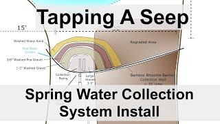 Tapping A Seep  Spring Water Collection System Install [upl. by Malvie]