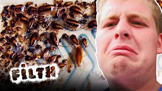 The Worst Cockroach Infestation In England  Pest Detectives  Episode 2  Filth [upl. by Chevy]