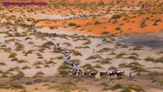 Touareg Music  Sahara desert Music [upl. by Herrick141]