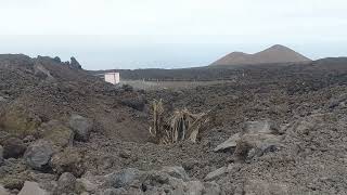 La Palma nach der Eruption  wird die LP211 und Todoque wieder aufgebaut [upl. by Ielarol]